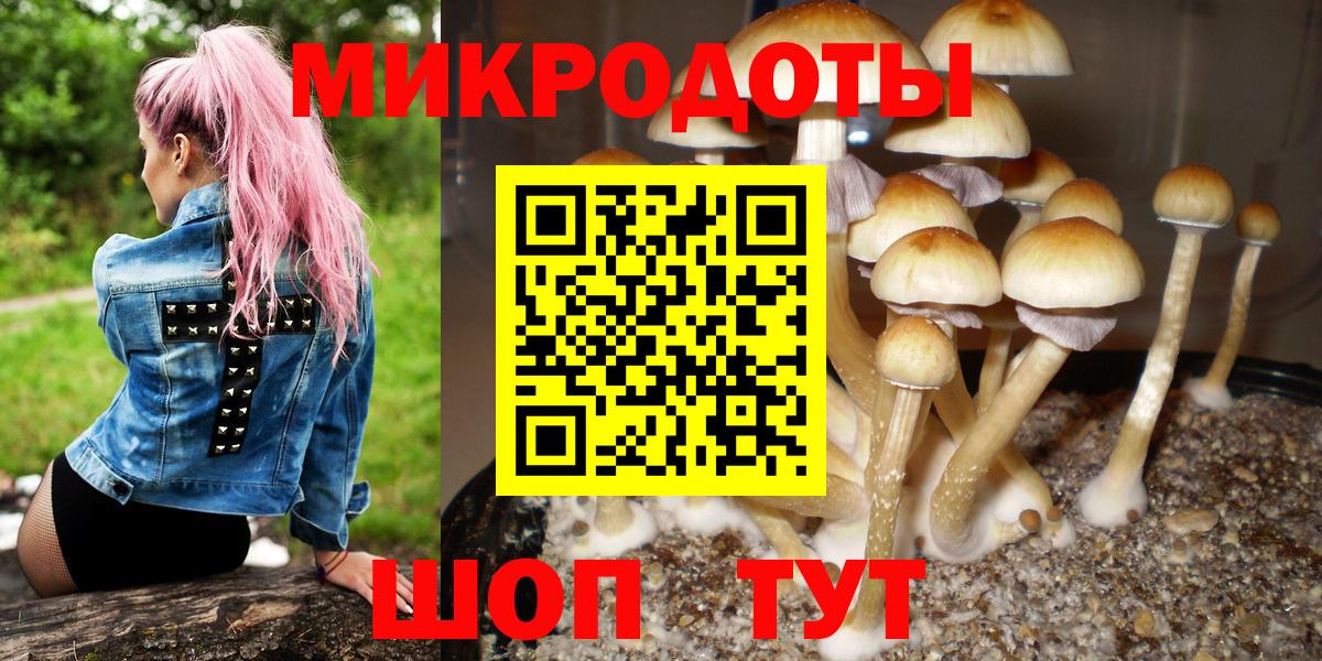 где продают   Галлюциногенные грибы Magic Shrooms  Вход с VPN  Лангепас  Псилоцибиновые грибы Psilocybe 